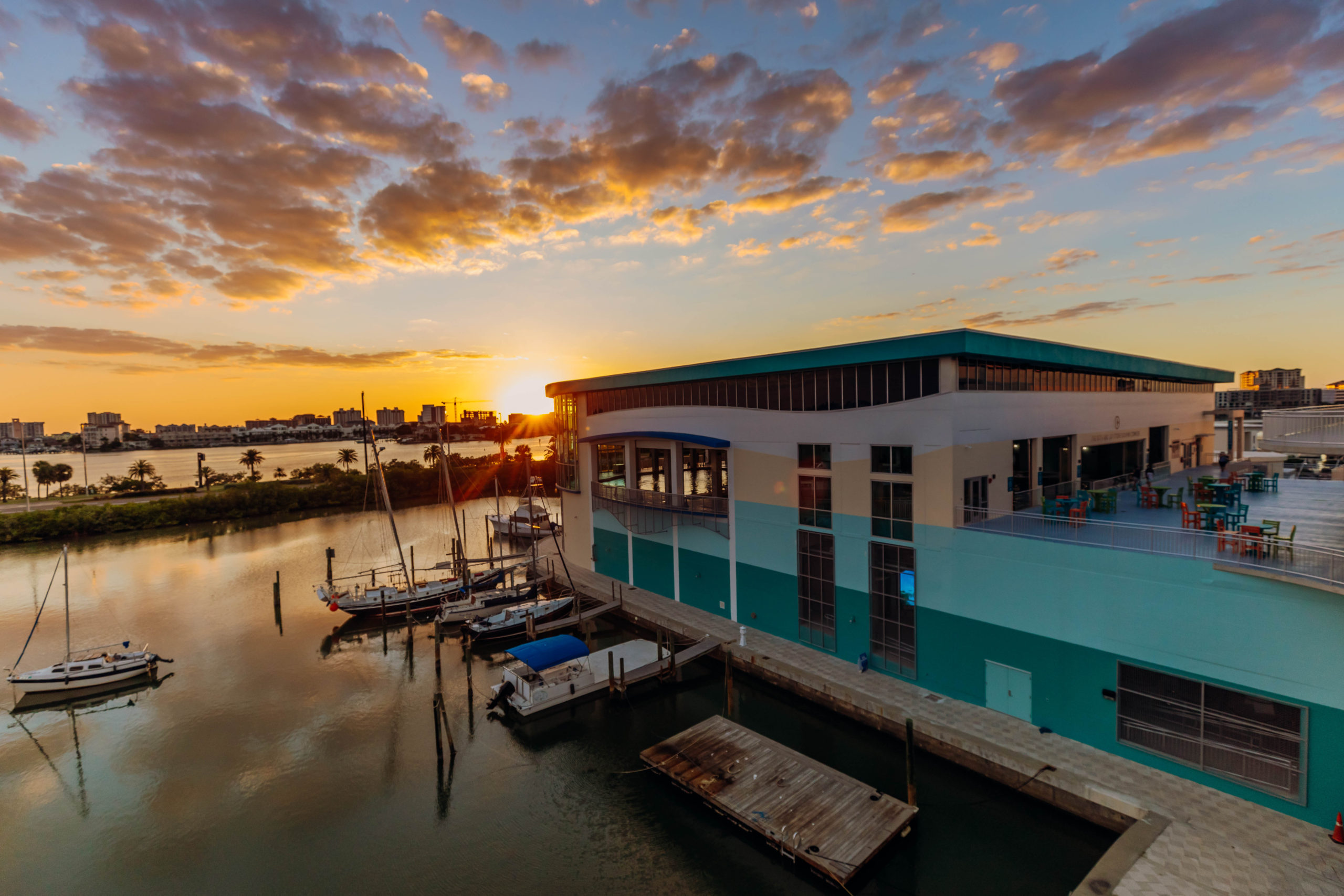 Ultimate Virtual Reality Experience - Clearwater Marine Aquarium