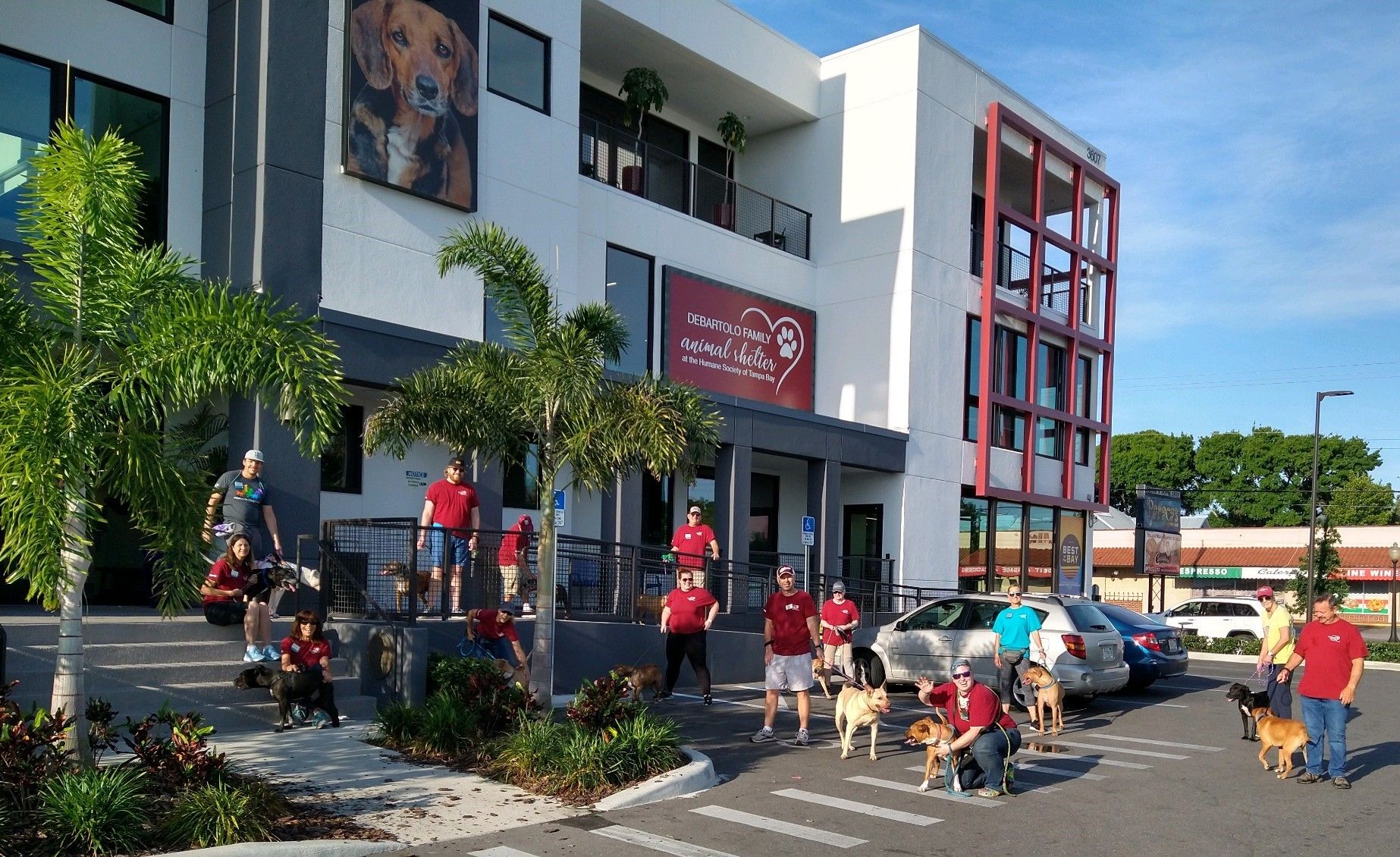 Tampa Bay's most popular - Humane Society of Tampa Bay