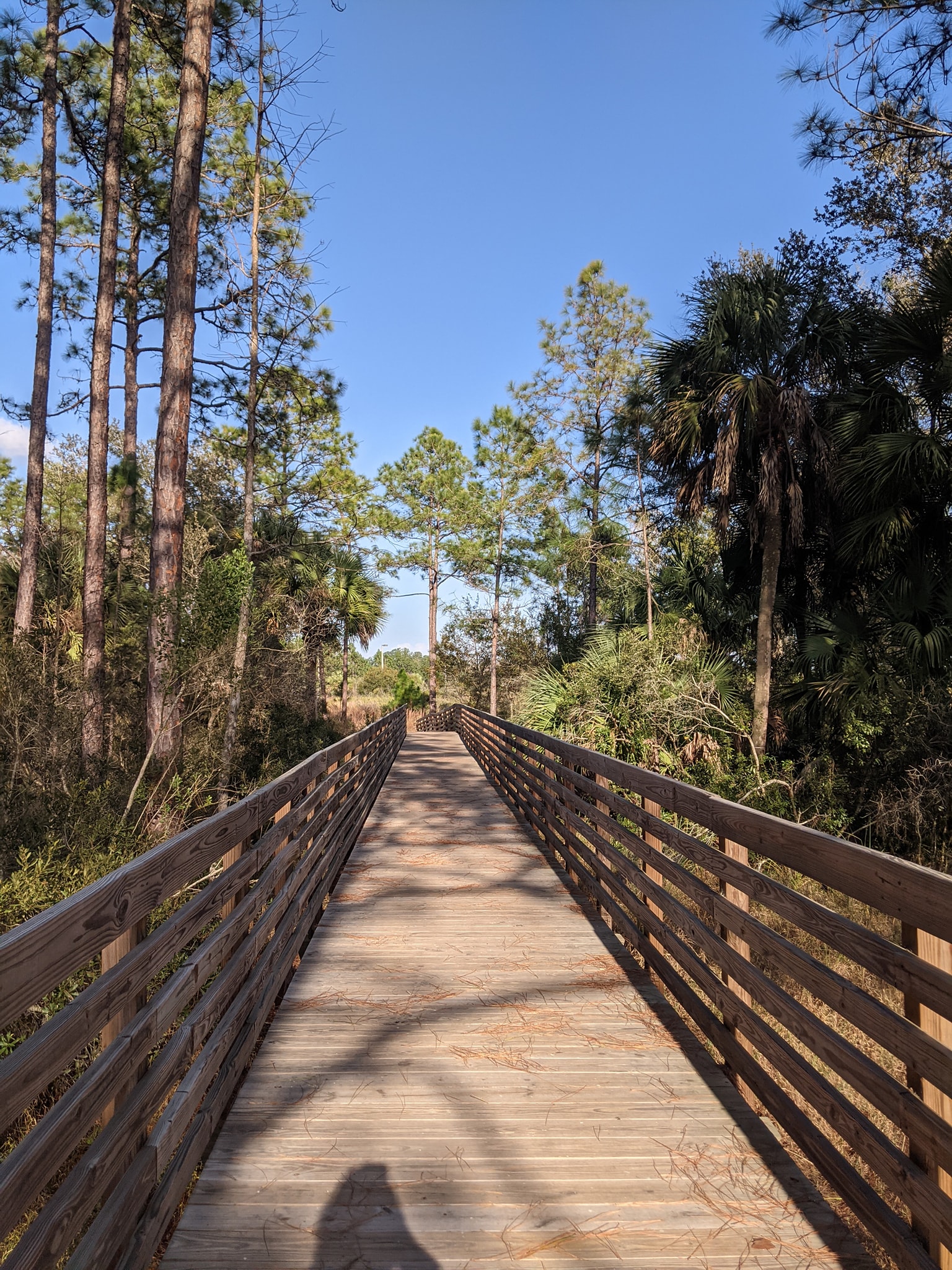 Hillsborough County Trails That Have the Most Shade