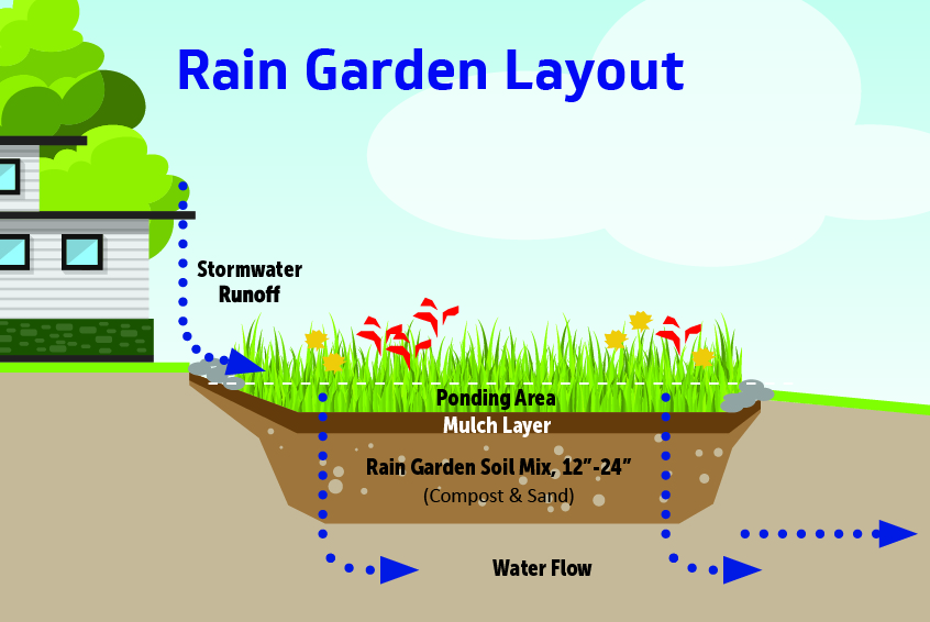 Create a Rain Garden
